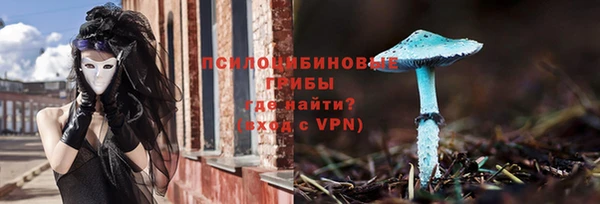 прущие грибы Балабаново