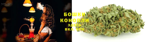 прущие грибы Балабаново