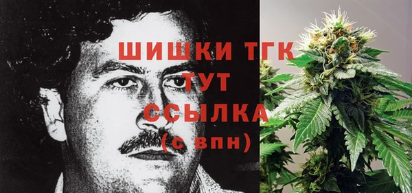 прущие грибы Балабаново