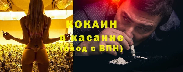 прущие грибы Балабаново
