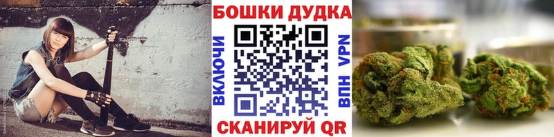Конопля семена  где купить   Пересвет 